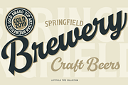 Leftfield Script, Sans & Serif, a Serif Font by Fenotype (Thumbnail 4 of 9)