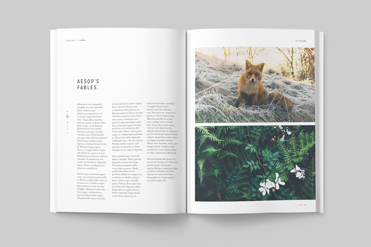 LUMINA Magazine, a Magazine Template by 46&2 Collective (Photo 5 of 27)