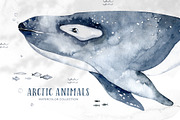 Arctic cute animals.  Watercolor set, an Animal Illustration by Peace ART (Thumbnail 8 of 22)