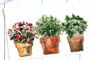 Watercolor Herbs And Flowers In Pots