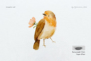 15 Procreate Watercolor Brushes, a Brush Add-On by Jenteva Art (Thumbnail 7 of 13)