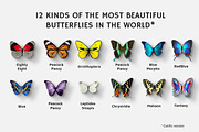 112 Butterfly Photo Overlays 2.0 preview 3