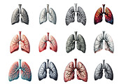 Antique Anatomy Overlays, an Illustration by Design Market (Thumbnail 2 of 3)