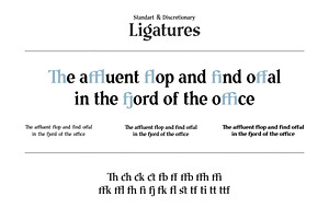 The Telegraph Font Family