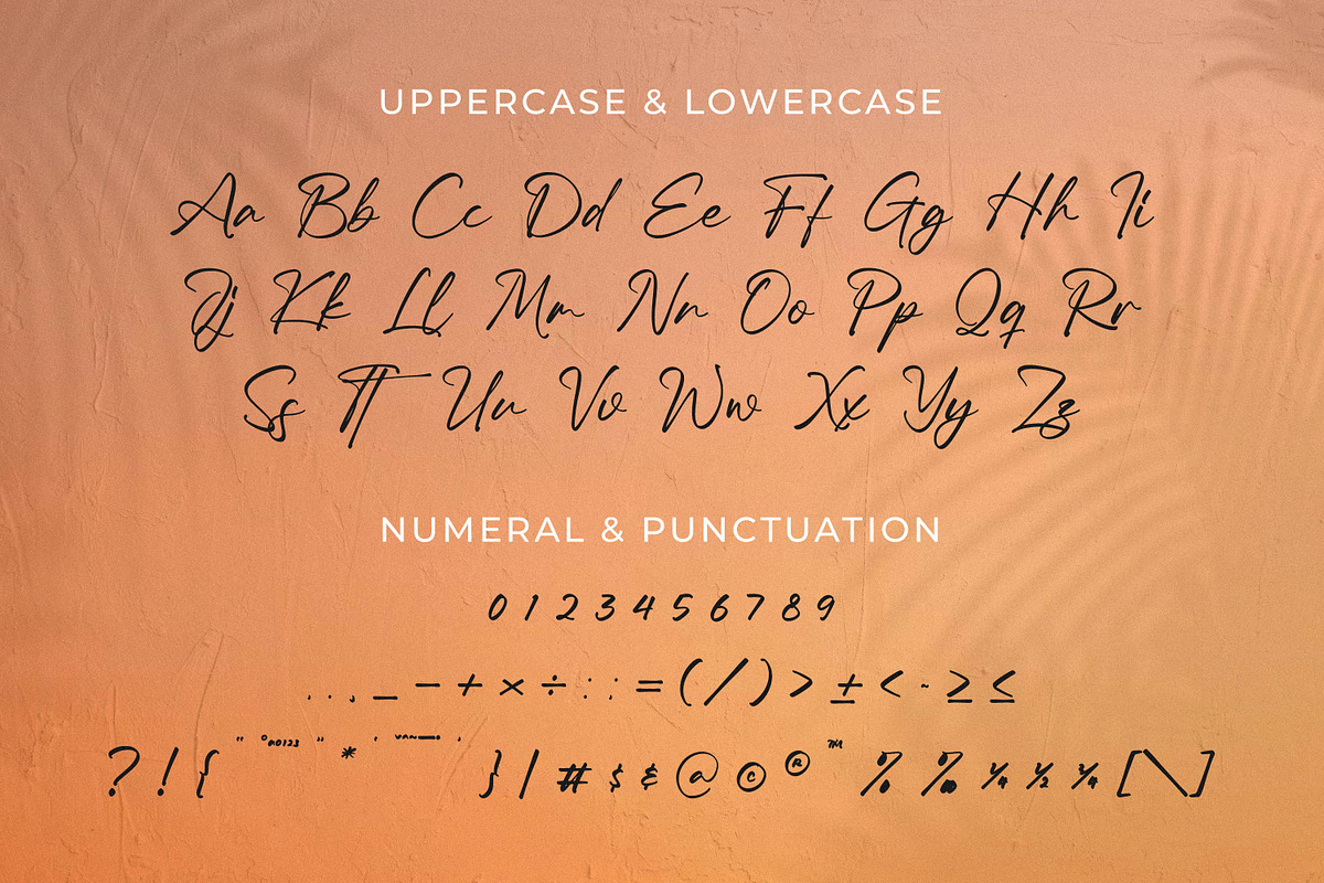 Onefineday, a Script Font by Integritype Studio (Photo 9 of 15)