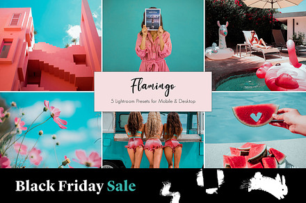 Flamingo Lightroom Presets