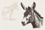 Farm Animals Illustrations, an Animal Illustration by Nocturnal Wolf (Thumbnail 11 of 14)