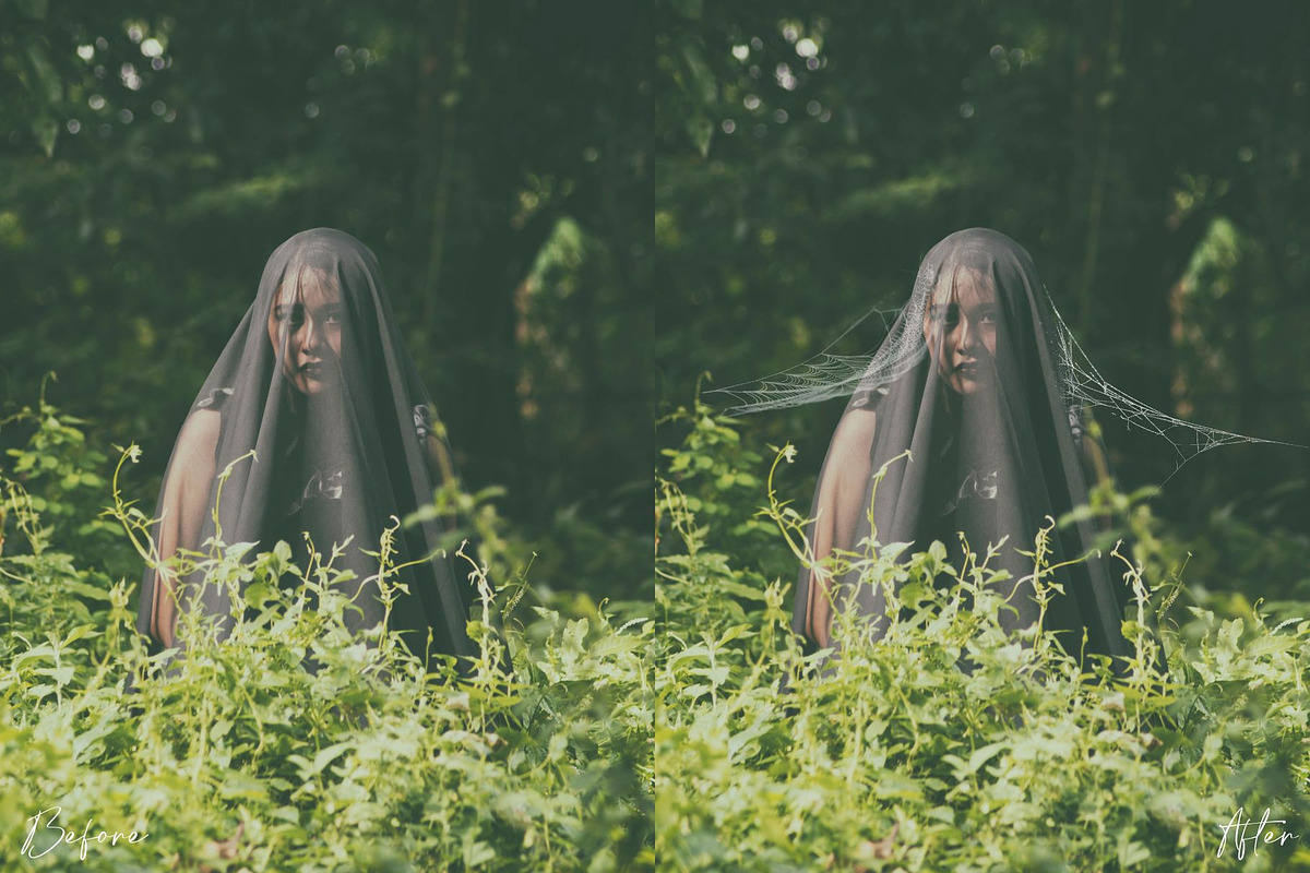 Spiderweb Photoshop Overlays, an Object Graphic by Prestige Photography (Photo 11 of 14)