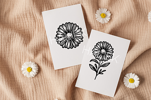 Daisy SVG Illustrations