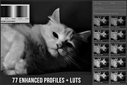 Spectrum Black & White profiles LUTs, a Plug-in Add-On by Raztrend (Thumbnail 3 of 31)