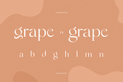 Sugar - Gorgeous Modern Font, a Font by Sensatype (Thumbnail 17 of 20)