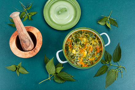 Vegan seasonal nettle soup., a Food & Drink Photo by MLunov MLunov