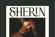 Praise Elegant Stylish Font, a Serif Font by Typebae (Thumbnail 3 of 12)