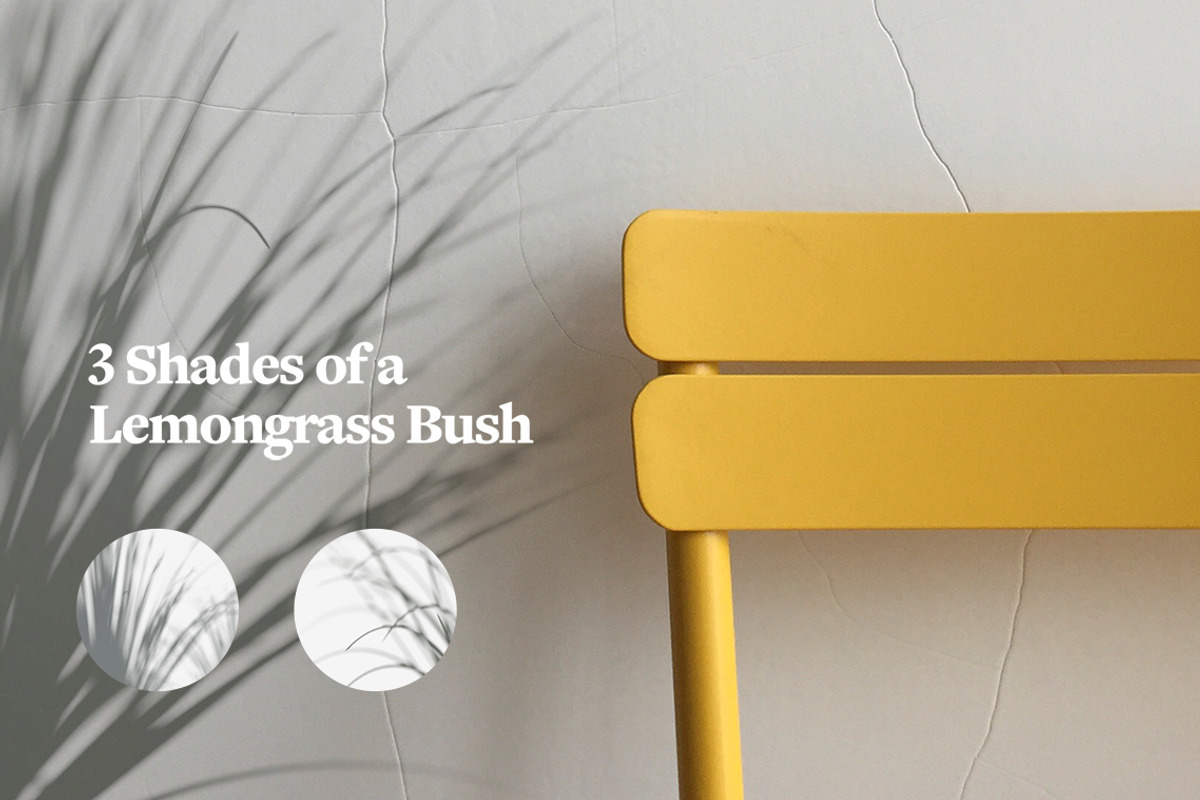 Plant Shadow Backdrops Video Bundle, a Mockup by rebrandy (Photo 8 of 24)