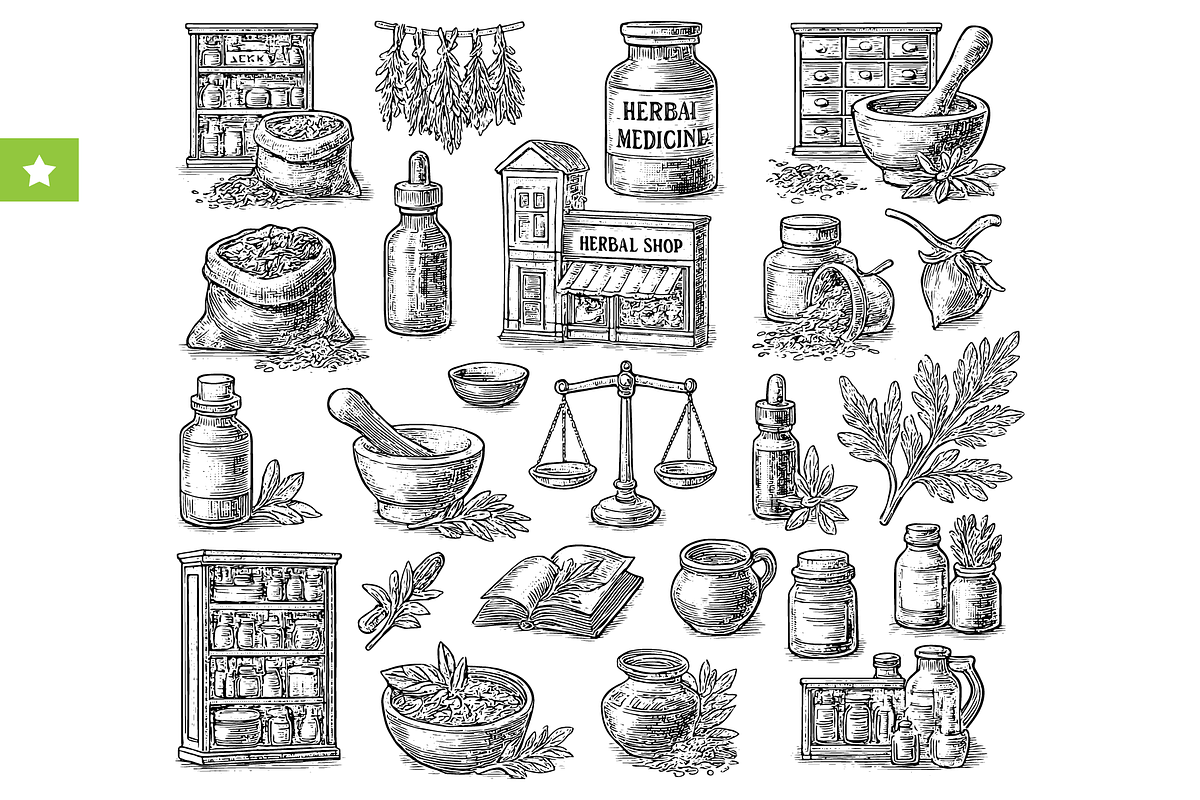 Herbal Medicine Sketch Set, an Object Graphic by RT Studio (Photo 1 of 4)