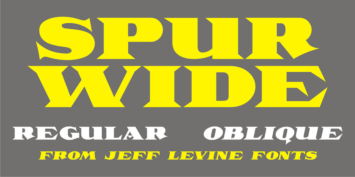 Spur Wide JNL, a Serif Font by Jeff Levine Fonts