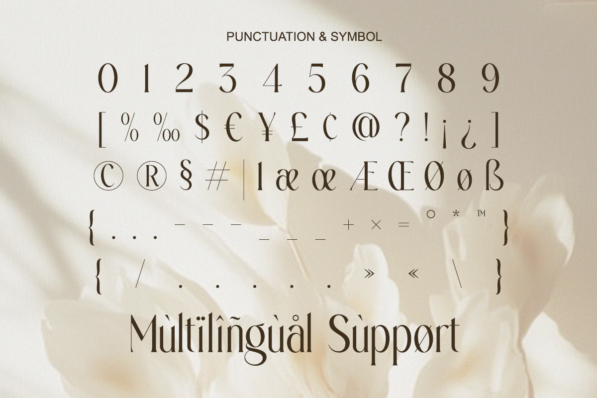 Ajessira – Modern Elegant Ligature, a Serif Font by Qweera Studio (Photo 12 of 12)
