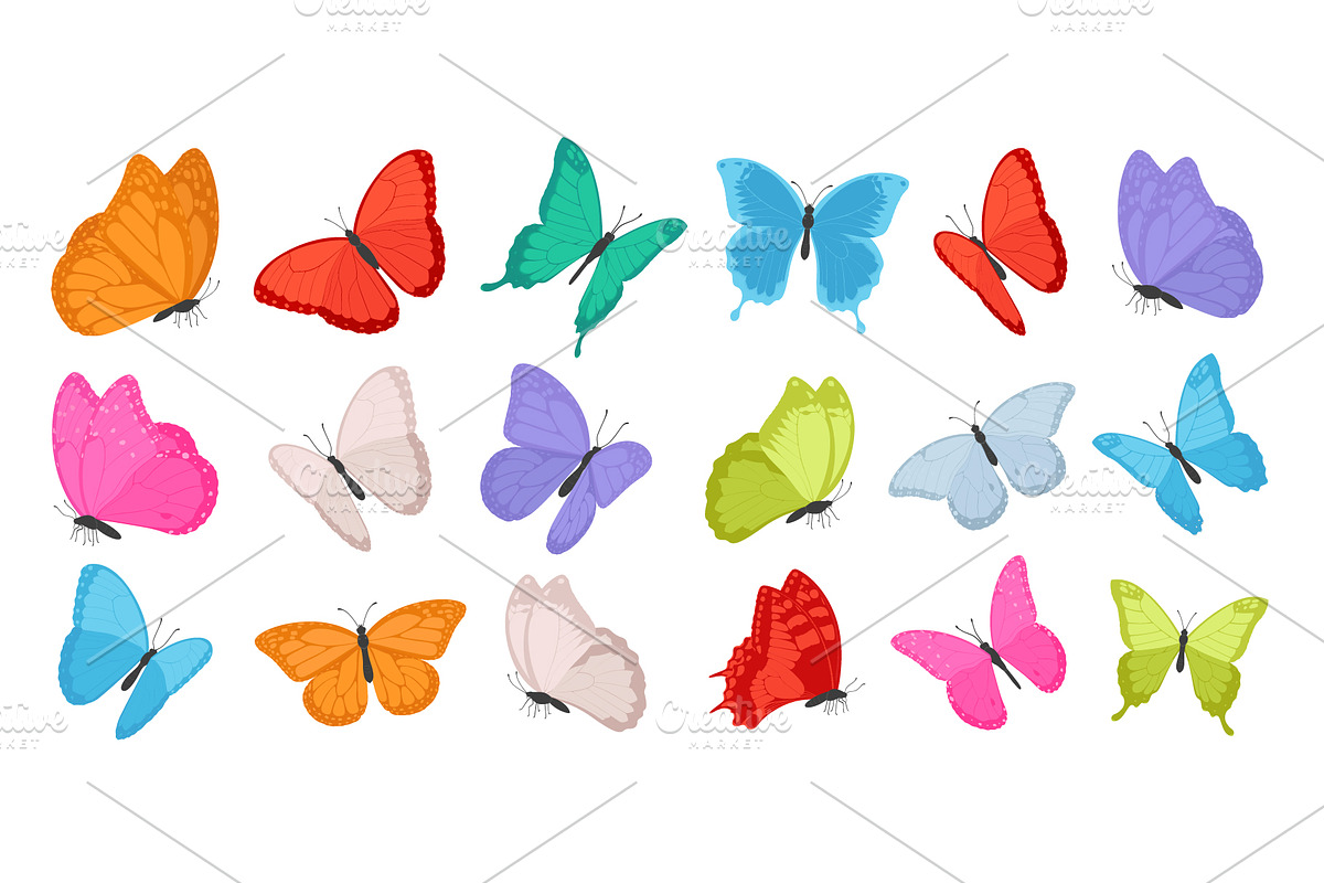 Set of flying colorful butterflies, an Animal Illustration by Yayasya