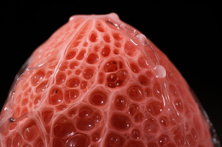 A detailed view of a fruit against a, a Photo by Iftikhar Alam