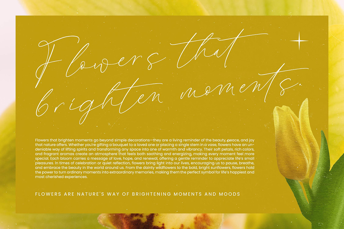 Modesta Outlook Stylish Handwritten, a Script Font by stylishtype.co (Photo 7 of 20)