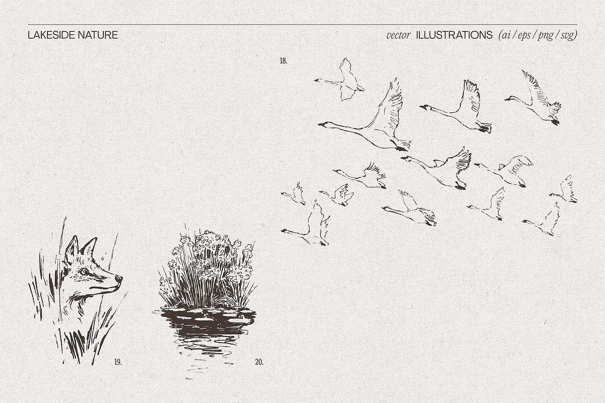 Lakeside Nature Illustrations, an Empty State Illustration by TheMountBirdStudio (Photo 14 of 17)