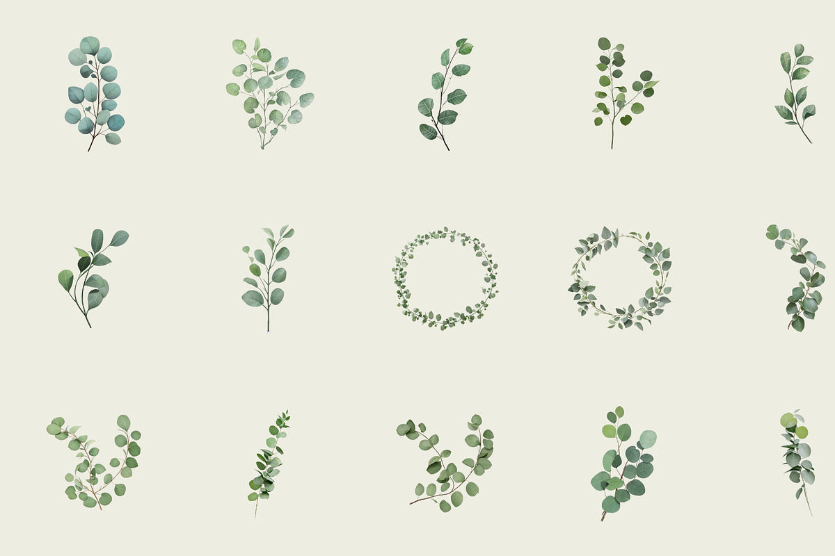 60 Watercolor Eucalyptus PNG Clipart, a Graphic by Graphicspixel (Photo 5 of 10)