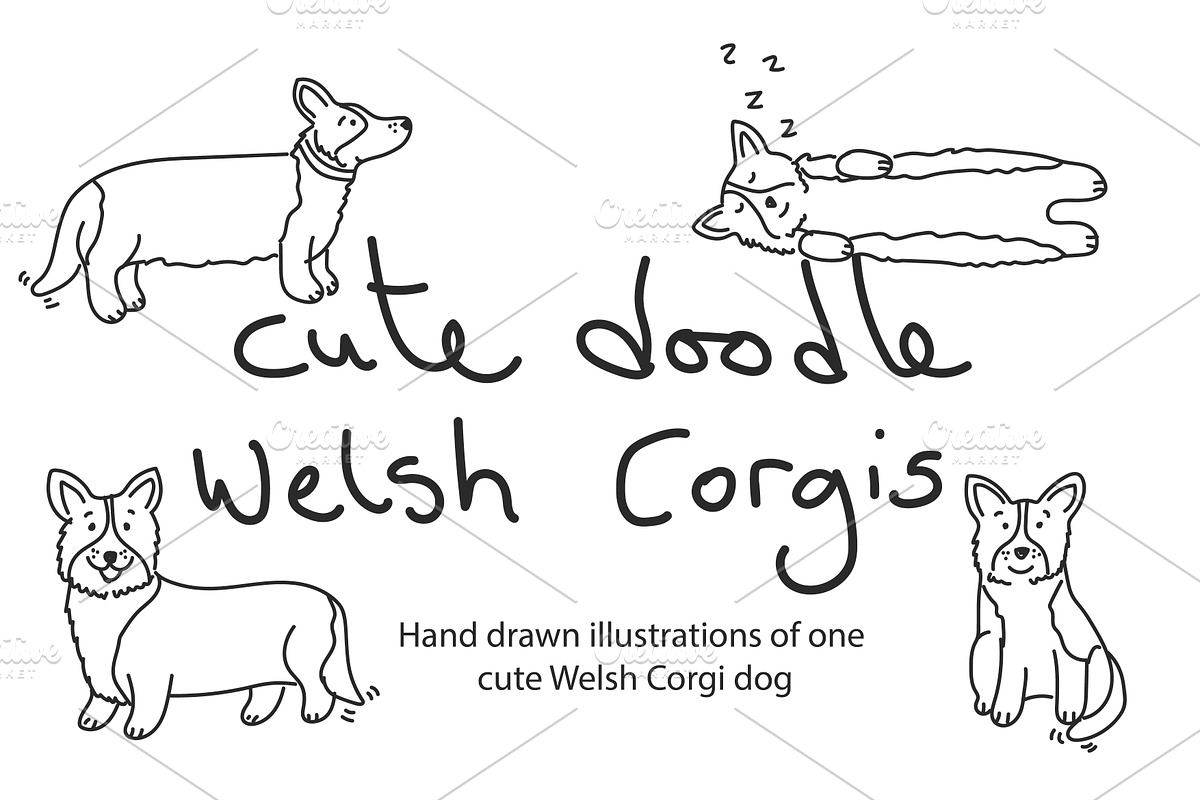 Cute doodle Welsh Corgis, an Animal Illustration by Liz Pengilley Studio (Photo 1 of 4)
