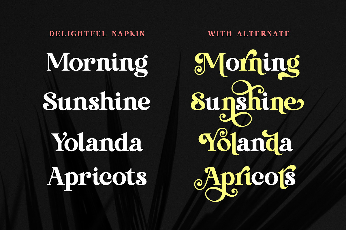Delightful Napkin Modern Serif Font, a Serif Font by Airotype (Photo 2 of 15)