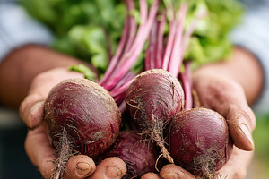 Fresh organic beetroots with green, a Food & Drink Photo by MistyDay