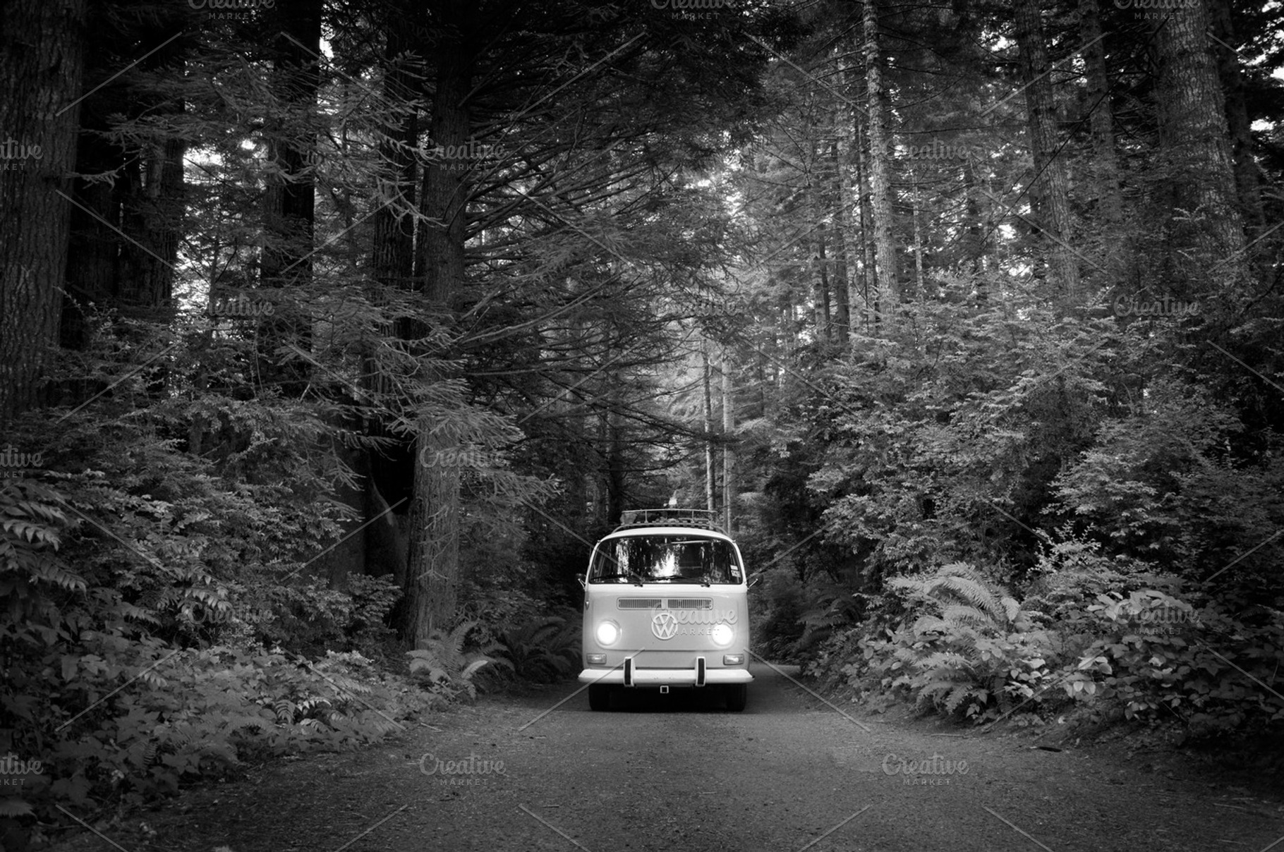 Vw Bus In The Redwoods Bw
