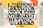 TAN - LIEBE, a Font by TanType (Thumbnail 9 of 12)