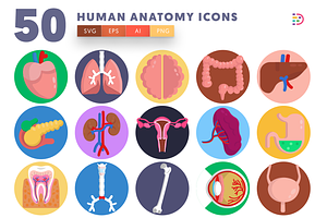 50 Human Anatomy Icons