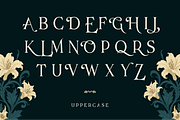 Blades of Fortunes, a Serif Font by Helotype (Thumbnail 3 of 7)