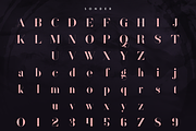 Sonder Serif Typeface - 5 weights, a Serif Font by VP Fonts (Thumbnail 8 of 9)