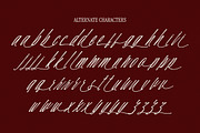 Hadley Enigmatic, a Script Font by Get Studio (Thumbnail 11 of 12)