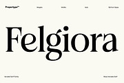 Felgiora, a Serif Font by Propertype (Thumbnail 1 of 16)