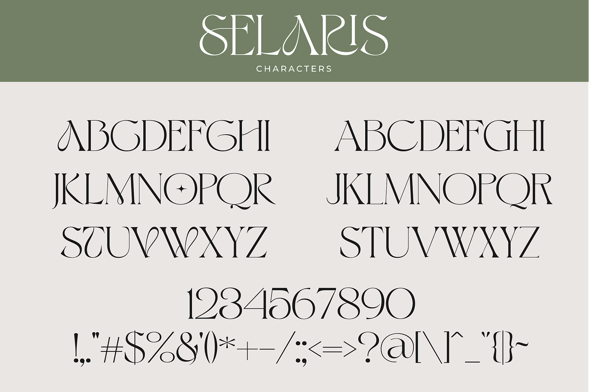 Selaris Modern Serif, a Serif Font by zeenesia (Photo 8 of 16)