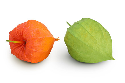 Cape gooseberry, physalis isolated, a Food & Drink Photo by NataPhoto