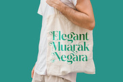 Dudga Baloval Elegant Serif Font, a Serif Font by timelesstype.co (Thumbnail 5 of 20)