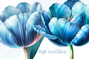 Blue Tulips Beautiful Set, a Decorative Illustration by Shabbypie (Thumbnail 4 of 22)