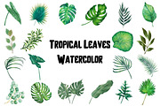 Watercolor Tropical Leaves Clipart, an Object Illustration by Awieee1 (Thumbnail 1 of 3)