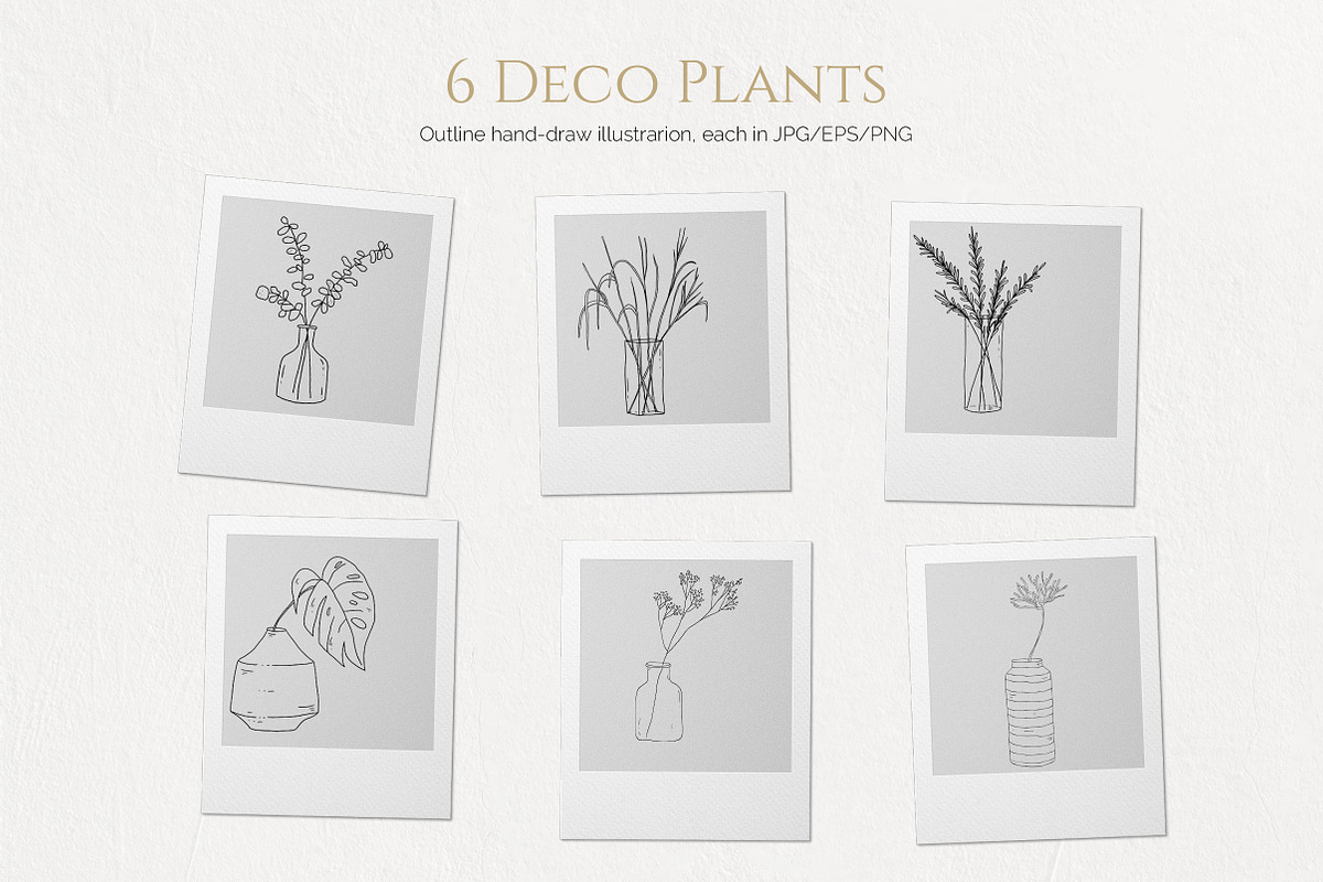 House Plants. Vector illustrations, a Decorative Illustration by iri-illustration (Photo 8 of 9)