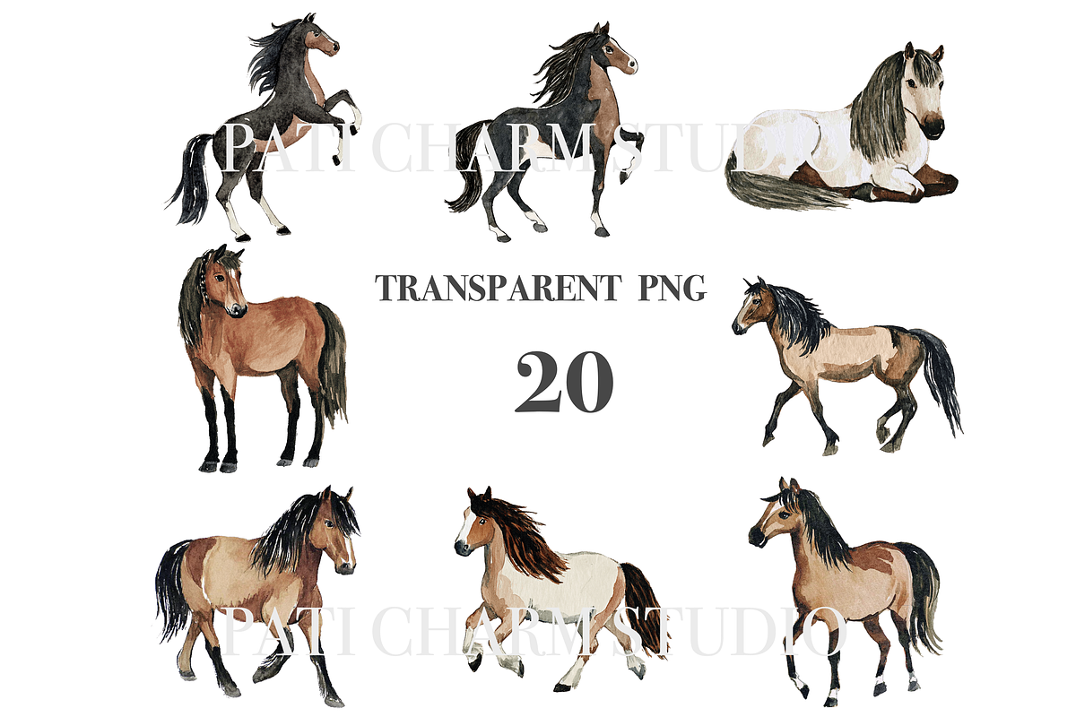 20 Horse Clipart, an Animal Illustration by Pati Charm Studio (Photo 3 of 8)