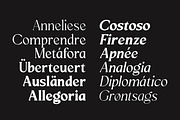 Mizhon Serif | 12 Font, a Serif Font by Skinny Type (Thumbnail 3 of 8)