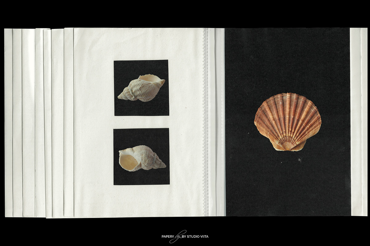 Flip Album Plastic Pocket Mockups, a Books & Magazine Mockup by Studio Viita (Photo 9 of 11)