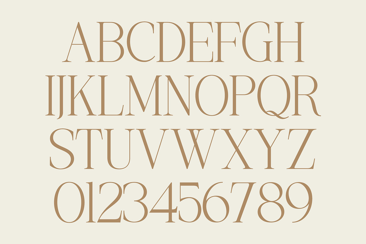 Mogerin | Modern Display Serif, a Serif Font by Typoraith Co (Photo 6 of 10)
