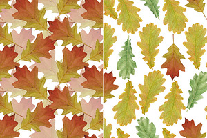 Oak Leaves 6 Seamless Patterns