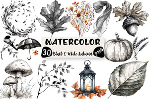 Black & White Autumn Clipart, an Illustration by Black Bird Studio