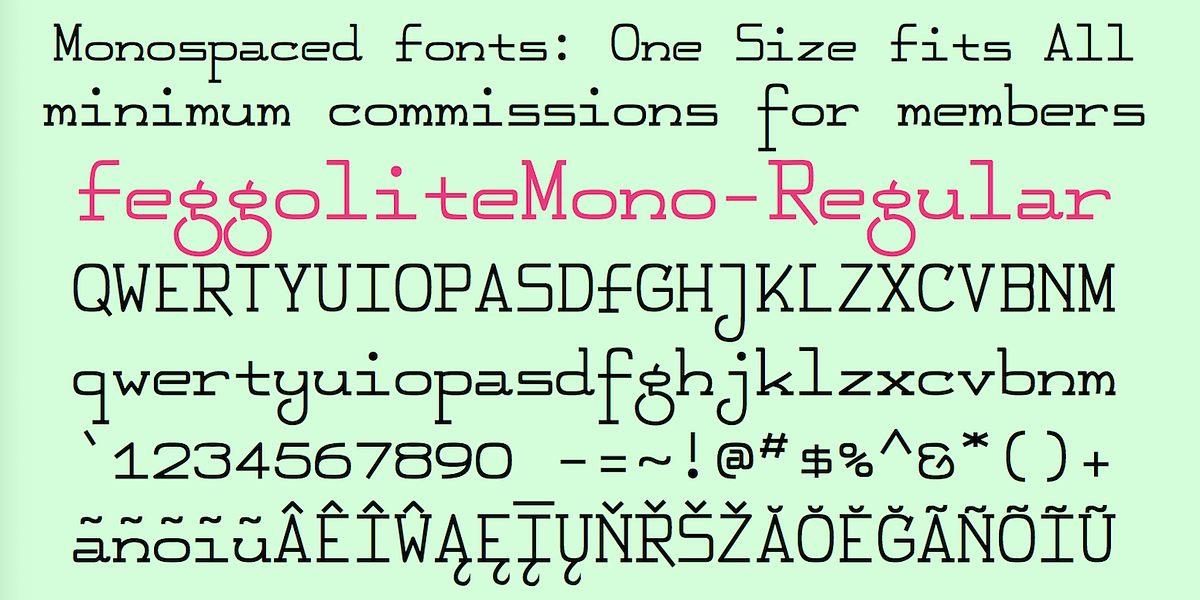 FeggoliteMono, a Slab Serif Font by Ingrimayne Type (Photo 10 of 14)