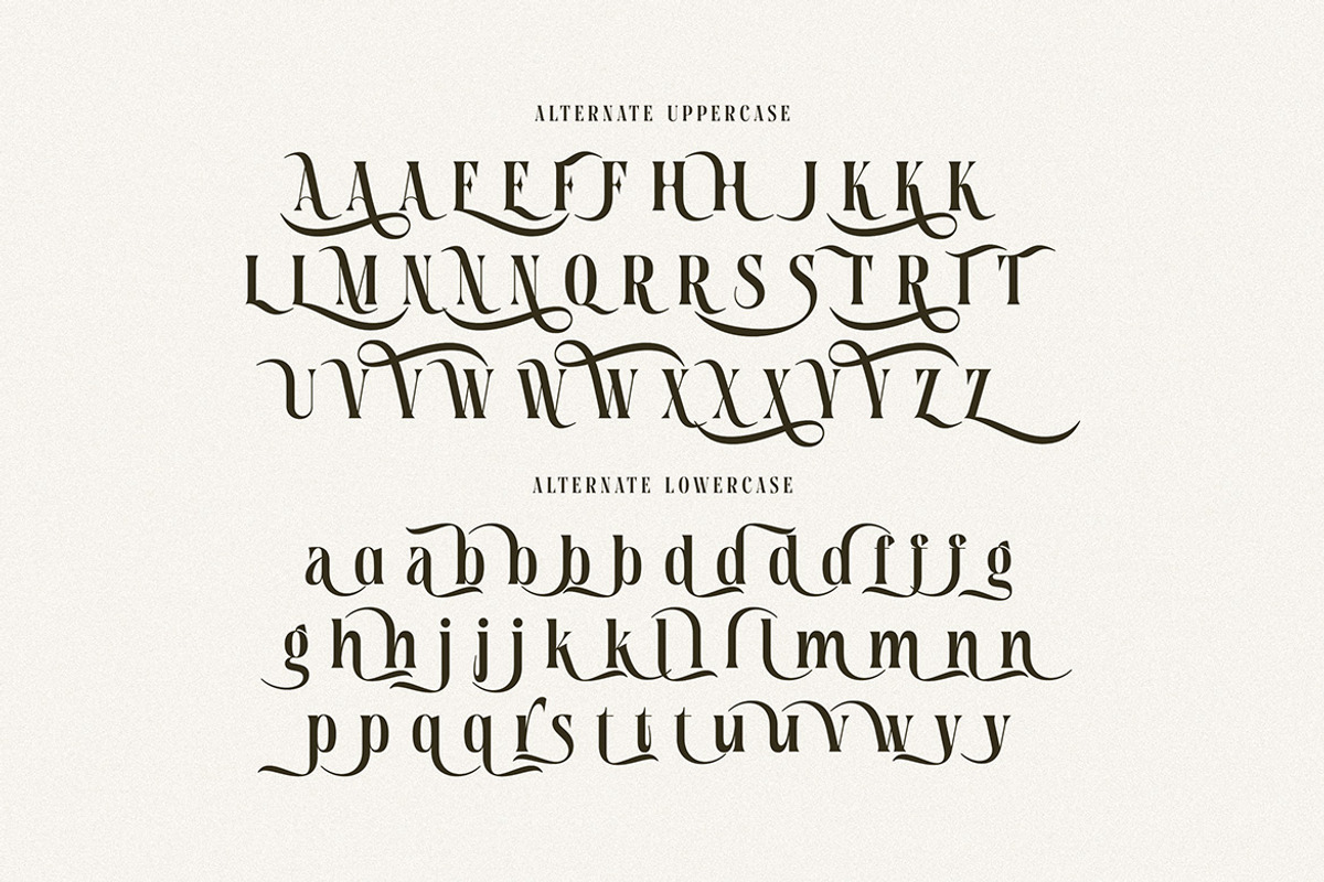 Tersakiti Elegant Modern Serif, a Serif Font by Cruzine (Photo 6 of 8)